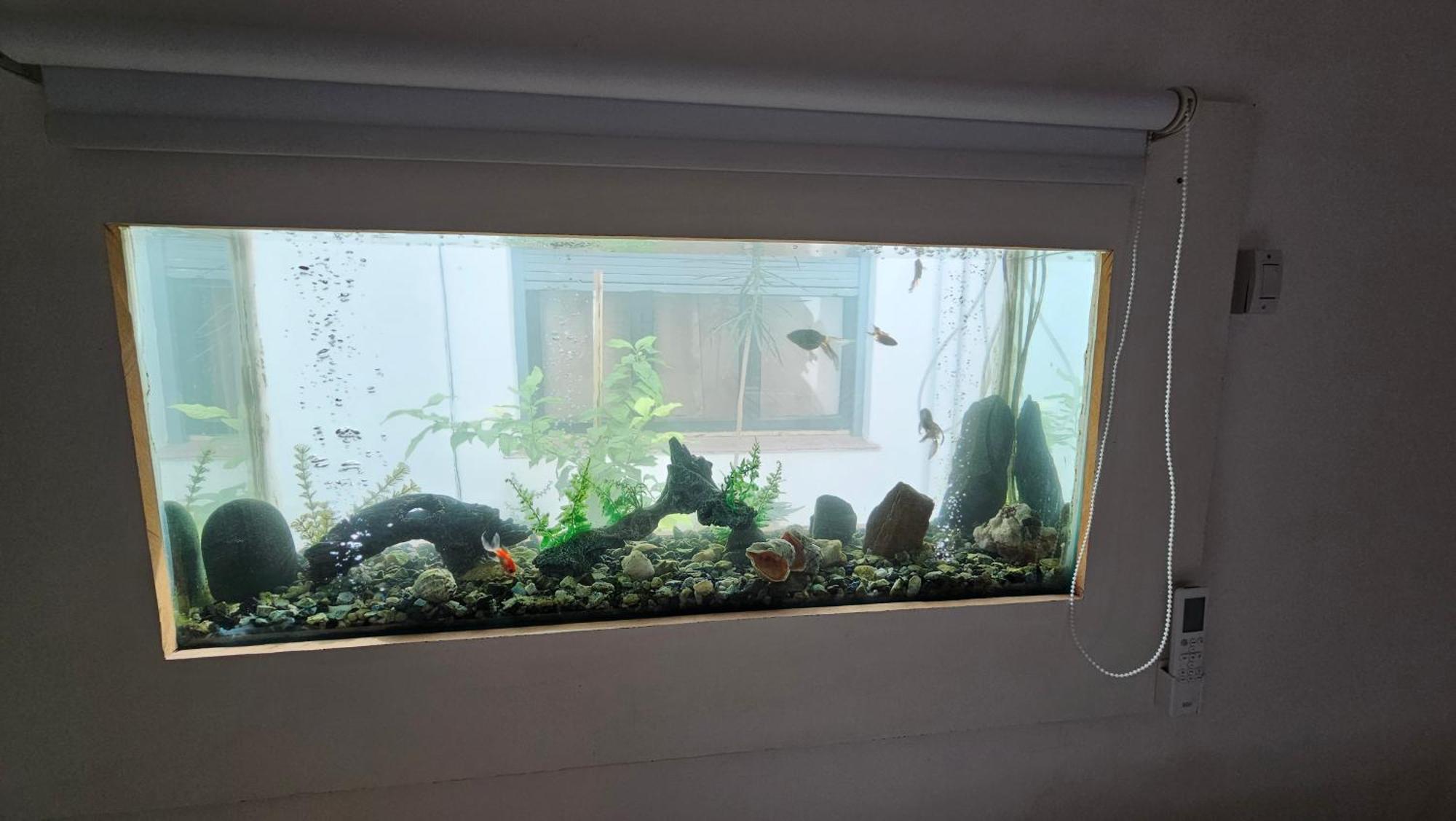 Apartment Dpto 1 Ragi