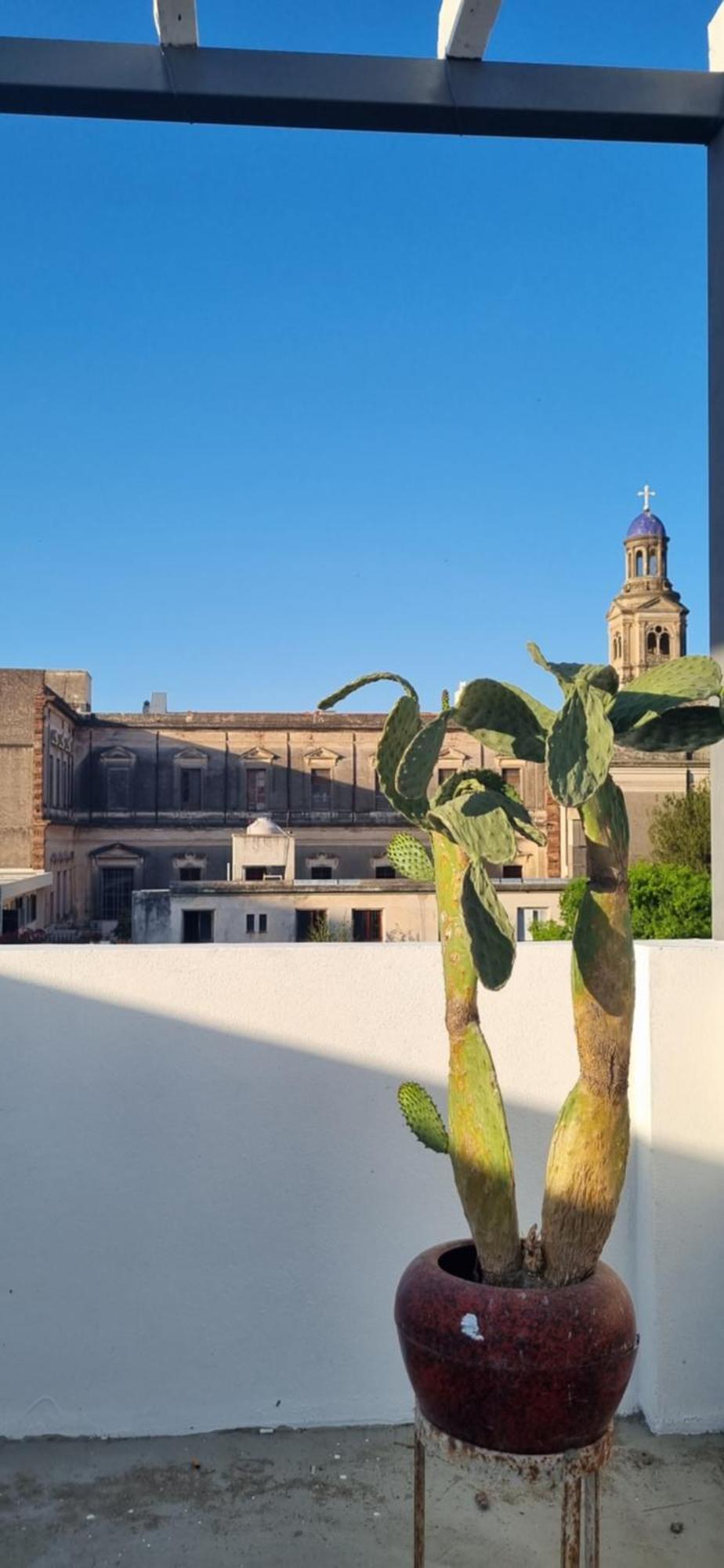 Dpto 1 Ragi Cordoba